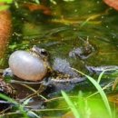 제주특별자치도 민속자연사박물관 이미지