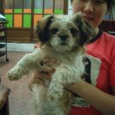 대전산성초등학교 이미지