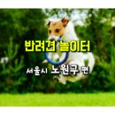 남면문화복지센터 풋살장 | 서울시 노원구 반려견 놀이터, 애견 놀이터, 동물복지 활동 소개