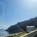 마레미오 이미지