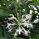 화서환승 이미지