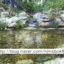신천농수산물 이미지