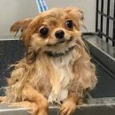 아라온해수사우나 이미지