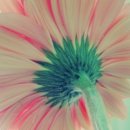 티아라피부관리실 이미지