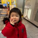 용인대 호산나태권도장 이미지