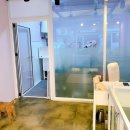 퍼피파우더룸 이미지