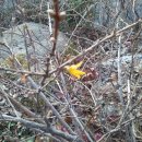 깊이울마을캠핑장 이미지