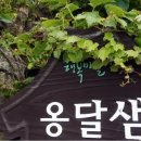 옹달샘민박