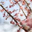 환경체육단지 축구장 이미지