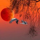 멍멍하니? 이미지