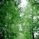 실버웃음코칭 레크레이션 이미지