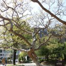 순천의료원공원 이미지