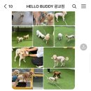 헬로우버디 광교점 이미지