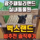캣동산 | 광주 벅스랜드 비추천 솔직후기 예약 할인 주차장 광주 패밀리랜드 유모차 대여 오천원