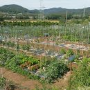 용수농장 이미지