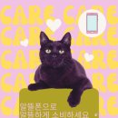 언니들의정리