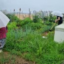 동탄지성로470번길 이미지