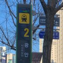디온네일