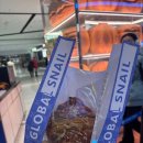 하눅베이커리 | [심양에서 살아남기] 일기 #48 중국에서 하눅친구 만나기 | 북한식당에서 밥 먹기