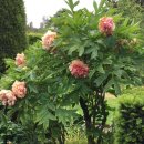 2020농장 이미지