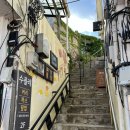 육림개발 이미지