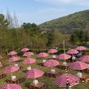 별헤는밤 캠핑장 이미지