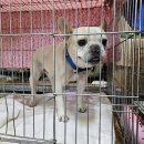 안골로108번길 이미지