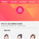 101명에서 11명을 뽑는 역대급 걸그룹 오디션 '프로듀스101' 명단 이미지