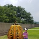 너랑나랑어린이공원 이미지