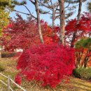 한양대학2길 이미지