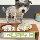 와락펫푸드 네이버블로그