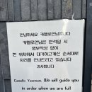 [연남동 맛집 추천] 파스타, 리조또 양식맛집 - 카멜로연남