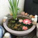 연못가든 이미지