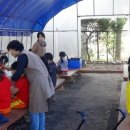 마차초등학교병설유치원 이미지