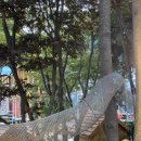 사랑샘유치원 이미지