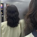 엘에스엠 | 당진 미용실 빈티지펌 수청동 미용실 엘에스엠 후기