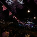 양재천 수변무대2 이미지