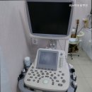통도동물병원 | 하남동물병원 러브펫동물병원 전문성과 안전을 갖춘 동물병원