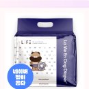 매너독 라이프 | 수컷 강아지 마킹 지옥 탈출기! 라비앙독 매너벨트 없이는 못 살아 솔직 후기