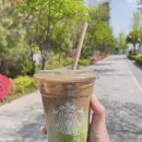 스타벅스는 포레스트 콜드브루를 내놓아라 이미지