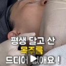 나의계절의원 이미지