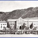 진도초등학교 이미지