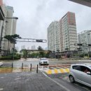 보람동_보람중학교 이미지