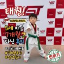 동아태권도 | 동암신동아태권도 5세 아들 7개월 다닌 후기