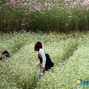 북천