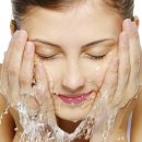 뉴랜드알로에 이미지