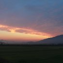 빛그린주유소 이미지