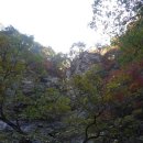구곡조경