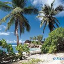 야자수하우스 이미지