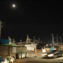 대진민박 이미지